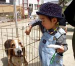 ミニ動物園の犬と観音