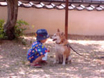 木陰で休むチャコちゃん（犬）に寄り添う観音