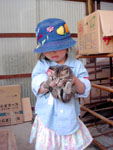 浄居寺さまにいる野良の子猫を抱く観音